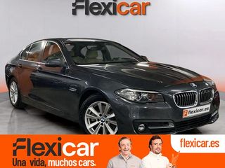 BMW Serie 5 520dA Business