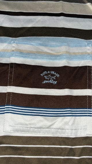 Polo Paul & Shark righe