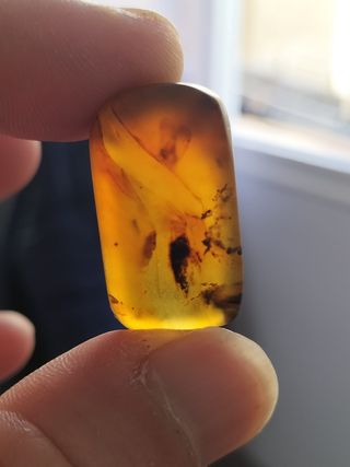 Ámbar Fósil con Insecto Cretácico - 3g