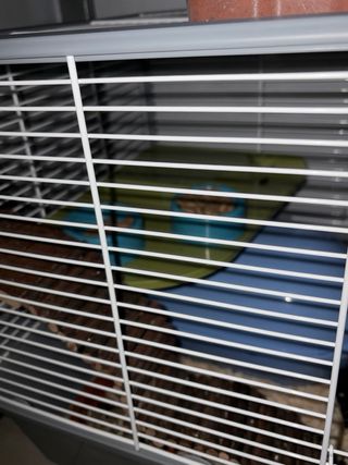 Jaula grande para hámster/roedores