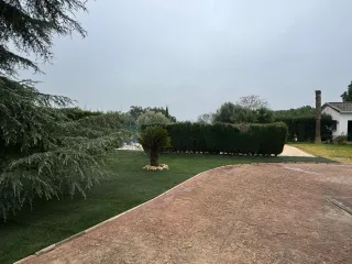 Césped artificial 674595864