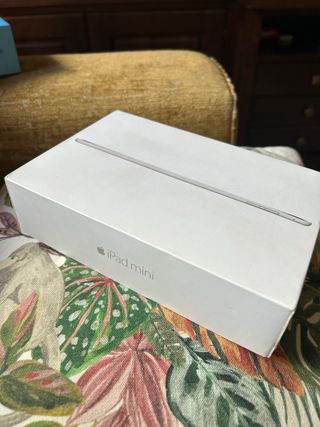 Cajas (2)  Apple iPad