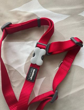 Arnés de entrenamiento Red Dingo Rojo