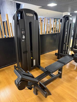 Remo Gironda Placas Technogym Selection