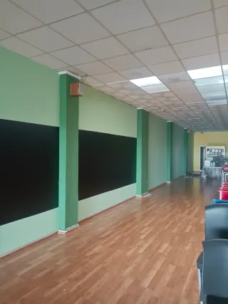 Pintor profesional en Gandía