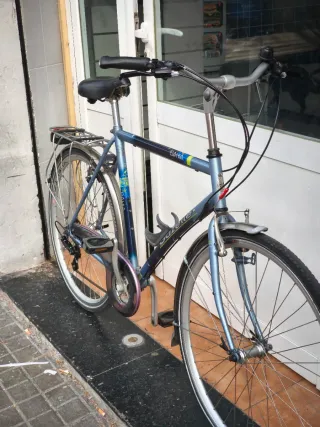 Bicicleta Gazelle Bahía Class Yalla L
