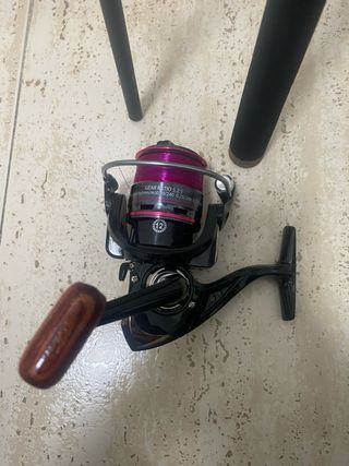 Caña de spinning y carrete y asesorios