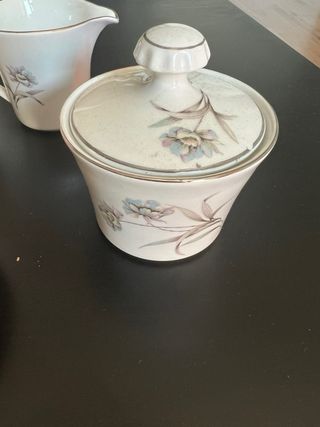 Vajilla Pontesa porcelana
