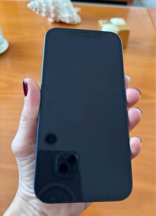 iPhone 12 Azul 128Gb