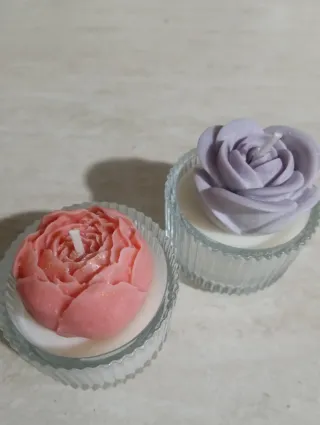 Candele piante in vetro