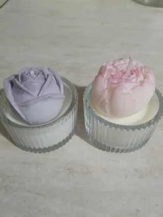 Candele piante in vetro