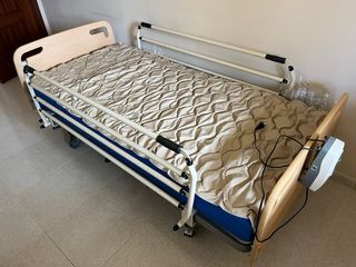Cama sanitaria articulada eléctrica