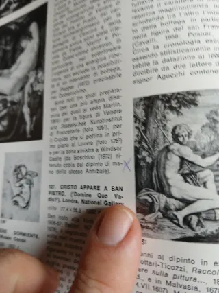 L'opera completa di Annibale Carracci manca pagina