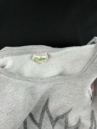 Felpa NBA Sacramento Kings Grigia