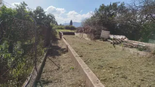 DESBROCE,LIMPIEZA Y PODA