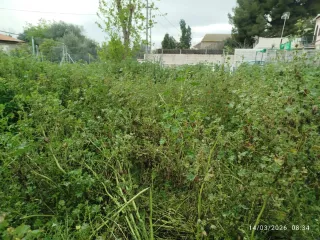 DESBROCE,LIMPIEZA Y PODA