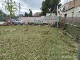 DESBROCE,LIMPIEZA Y PODA