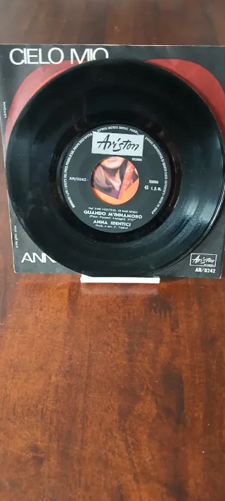 2 Vinili 45 giri Anna Identici