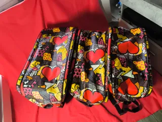 3 Bolsos Multicolor Estampados