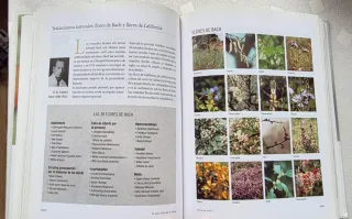 El Gran Libro de salud Medicina natural, Alimentac