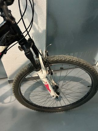 Bici B-Pro MTB