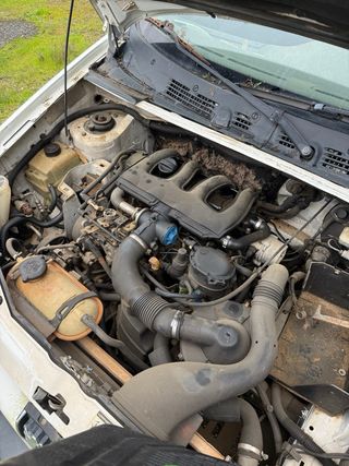 Despiece completo Citroën Berlingo