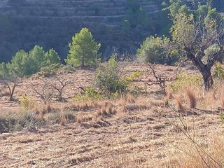 Solar en venta en Benissa