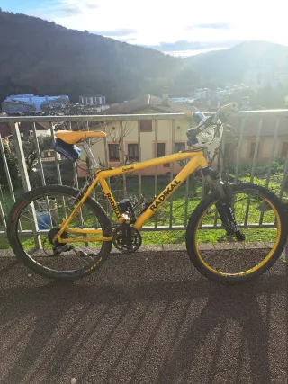 Bicicleta Radikal Amarilla