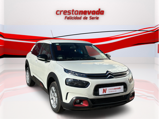 Citroen C4 Cactus 2020 - ¡¡DESDE 185 EUROS/MES!!
