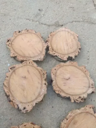 7 Rodajas de Encinia