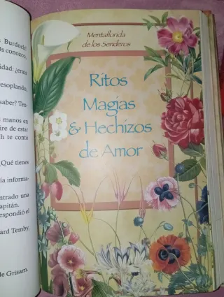 Fairy Oak. Capitán Grisam y el amor: Fairy Oak....