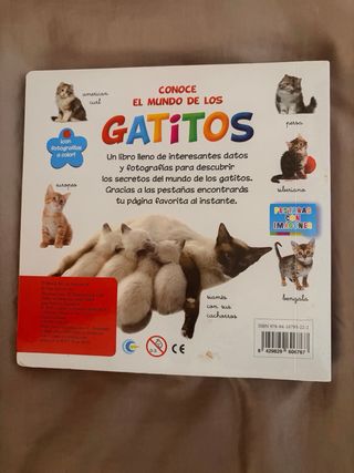 Libro conoce el mundo de los gatitos