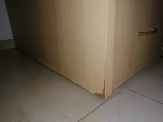 Litera con escritorio y armario.