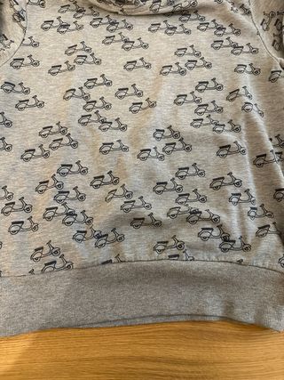 Felpa con stampa vespa Terranova