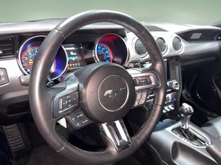 Ford Mustang 2.3 EcoBoost 198kW Mustang (Convertible)