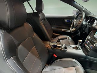 Ford Mustang 2.3 EcoBoost 198kW Mustang (Convertible)