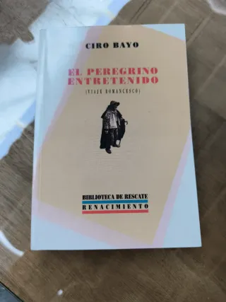 El peregrino entretenido viaje romancesco