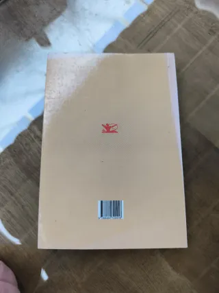 El peregrino entretenido viaje romancesco