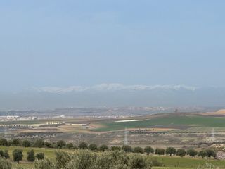 TERRENO RUSTICO - TORRES DE LA ALAMEDA