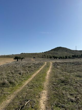 TERRENO RUSTICO - TORRES DE LA ALAMEDA