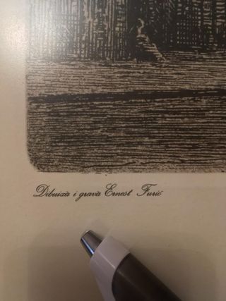 Cuadro Valencia Ernest Furio