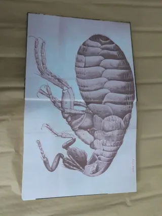 Ciencia. La guia visual definitiva