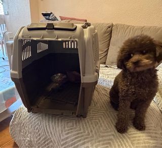 Transportín perro casi nuevo