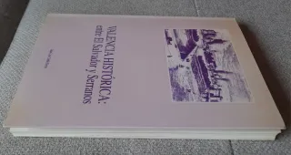 Libro Entre el Salvador y las TORRES de SERRANOS