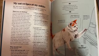 What's My Cat Thinking?