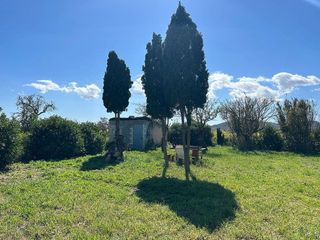 Terreno en venta en Porreres