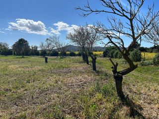 Terreno en venta en Porreres