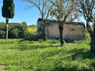 Terreno en venta en Porreres