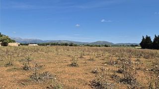 Terreno en venta en Muro