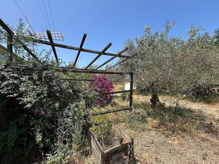 Terreno en venta en Carmona